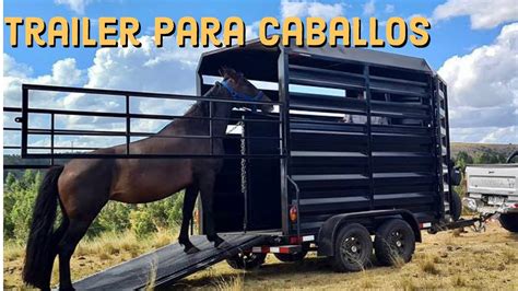 imagenes de trailer para caballos